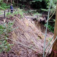 大規模崖崩れで被災　「妙楽寺の森」復旧へ一歩　千葉県と町が土砂撤去、治山工事も　睦沢の天然記念物　住職、着工に感謝　昨秋の大雨、８日で１年
