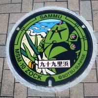 「ゾック」や九十九里浜、ネギがデザインされたマンホール＝山武市