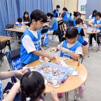 貝殻風鈴作りに挑戦　親子連れら　ウミホタル発光実験も　館山