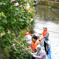 佐原の大祭前町並み清掃　香取、高校生ら７０人が汗