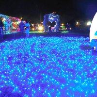 子どもたちをおとぎ話の主人公にさせてくれる幻想的な光の演出＝富津市
