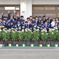 育てた大輪めでて　地域元気に菊届ける　勝浦中２年生