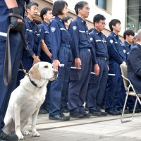 麻薬探知犬の功績たたえる　「犬の日」に成田税関　訓練センターで慰霊祭
