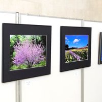個々の感性光る１９２点　市原、６日まで写真連盟展