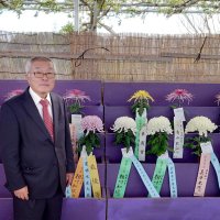 相川さん農水大臣賞　市原で県菊花大会　愛好家の大輪５０点並ぶ