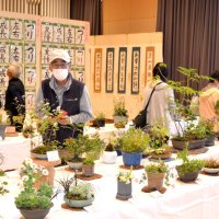 書道や陶芸、力作そろう　いすみ市岬町文化祭