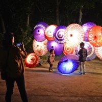 見浜園では、華やかな和傘もライトアップされ、撮影を楽しむ親子＝１６日、千葉市美浜区の県立幕張海浜公園
