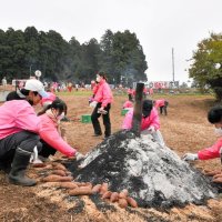 焼き芋の準備するスタッフら
