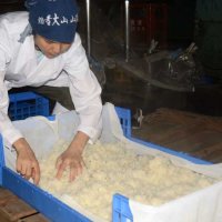 おいしい新酒、仕込んでいます　山武・守屋酒造　千葉県産米使用　出荷は１２月中旬