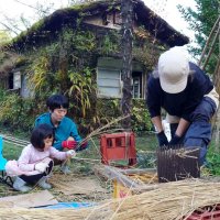 縄文小屋完成に向けて行われているしぶ取り作業