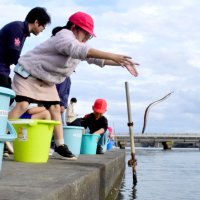 白子３小学校、ウナギの幼魚放流　児童「大きく育って」