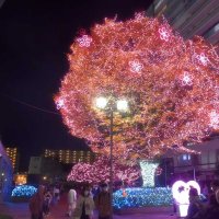 北総線千葉ニュータウン中央駅周辺で始まった沿線最大級のイルミネーションイベント「イルミライ★ＩＮＺＡＩ」＝３０日夕、印西市