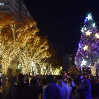 印西イルミネーション始まる　沿線最大級、６０万球の幻想空間　北総線千葉ニュータウン中央駅