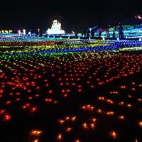 カラフルに輝く東京ドイツ村のイルミネーション＝１日夜、袖ケ浦市