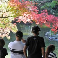 紅葉が見頃を迎え、多くの人でにぎわう成田山公園＝１７日、成田市