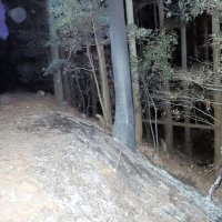 強盗容疑でベトナム国籍の５人を逮捕　大多喜の死体遺棄事件に関与か　２月に焼けた車の中から遺体