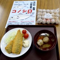 新たに開発されたコノシロのフライとつみれ＝船橋市役所