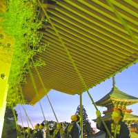 成田山新勝寺　新年備えすす払い　１年の汚れ清める