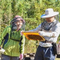 巣板を確認する尾形社長（左）と赤坂さん（館山市提供）