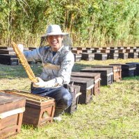 館山に越冬ミツバチ　北国から続々お引っ越し