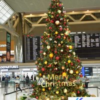 国際線出発ロビーに登場した高さ６メートルのクリスマスツリー