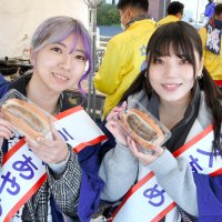 ５００食限定！香取産使用ホットドッグ人気　ジューシーな豚肉のうまみ楽しんで　ふるさとフェスタさわら