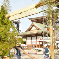 大しめ縄、大本堂前に　成田山新勝寺　初詣客迎える門松も