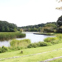 「みどりの愛護」のつどい、松戸で６月７日開催決定