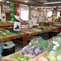 愛される「地域の台所」　少量多種農家の直売所　ごじゃ箱（いすみ市）　【ちばの元気企業】