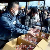 おいしいイチゴ　街盛り上げ　山武、６年ぶり実地開催　無料配布やスイーツ販売