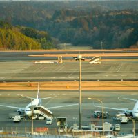 駐機場と誘導路の奥に広がる森林エリアがＣ滑走路新設に向けた用地（成田空港中心部のランプセントラルタワーから北東方向を撮影）