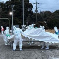 鳥インフル拡大で対応　防疫作業職員１万人超　【県議会ちば】