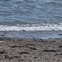 富津の砂浜で身元不明遺体　２０～３０代ぐらい、あおむけの状態で倒れ