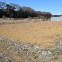 船橋市にスケボー練習場　小学生の陳情かなえる　新設スポーツ広場に整備へ
