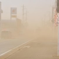 強風で土や砂が巻き上がり、視界が遮られた＝１３日午前、成田市