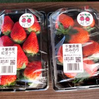 収穫したイチゴはパック詰めにして販売もしている