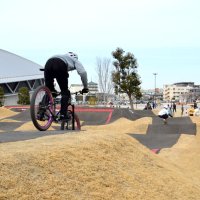 千葉公園内に設置されたトラックでスケートボードや競技用自転車を楽しむ子どもたち