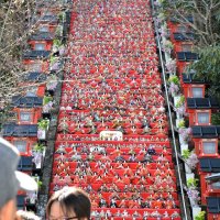 遠見岬神社の６０段の石段に飾り付けられた１８００体のひな人形＝２２日、勝浦市