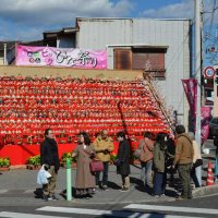 １０００体のひな人形が展示された墨名交差点＝２２日、勝浦市