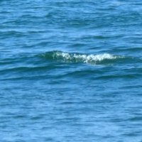 【速報】漁船とプレジャーボートが衝突、１人負傷　木更津沖