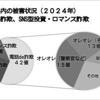 電話ｄｅ詐欺「捜査」かたる手口急増　被害１５億円、全体の４割近く　ＳＮＳ型は２８億円　還付金と預貯金は減　２４年千葉県警まとめ