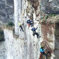 鋸山　絶壁降下ツタはがし　石切り場跡の景観保全へ