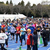 ７０００人健脚競う　佐倉マラソン　風光明媚なコース堪能