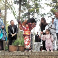 ヨシ苗供え、豊作祈願　飽富神社で「お田植神事」　袖ケ浦