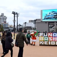 ホースパーク船橋に誕生　競馬場の大規模改修終わる　新入場門に芝生広場開設