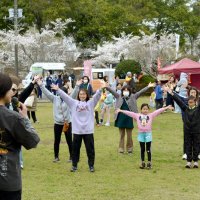 森林浴ヨガ心地よく　心身癒やし汗じんわり　大多喜交流イベントで新企画　多彩催し　春に包まれ華やぐ房総