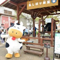 物価高だけど値引き　遊びに行くのも大変だから…　成田ゆめ牧場