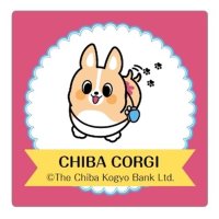 千葉興銀の「ちばコーギー」　サンリオキャラ大賞で入賞狙う　マイメロ、クロミとコラボ