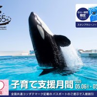 子育て支援で特別割引　鴨川シーワールド　５月６日から３１日まで