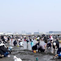 お目当てゲット「アサリ採れたよ！」　船橋・三番瀬　潮干狩り客でにぎわう